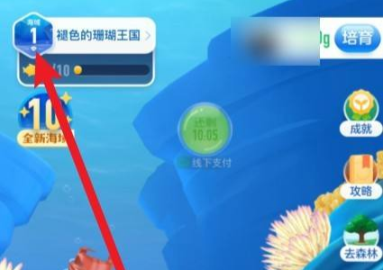 神奇海洋怎么快速升级 神奇海洋快速升级攻略方法分享