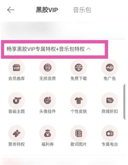 网易云音乐包和黑胶vip有什么区别