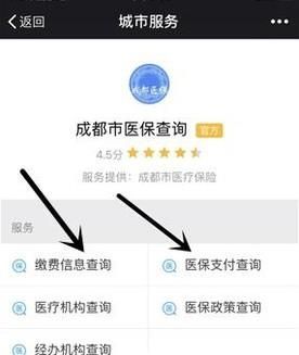 不用关注,微信直接查询社保(医保)余额/缴费
