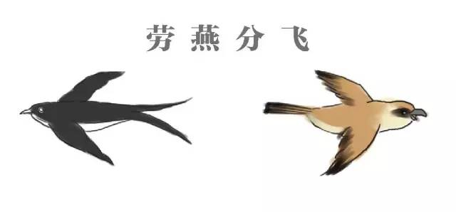 2021年5月10日支付宝蚂蚁庄园答案是什么？蚂蚁庄园小课堂5.10今日最新答案