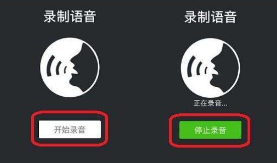 微信不能发语音怎么设置