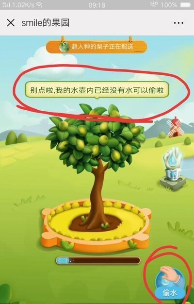 拼多多果园为什么不能偷朋友的水?多多果园种树