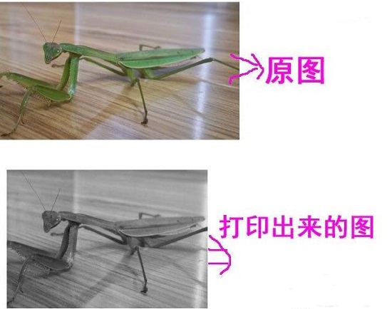 Win10打印图片没打印全怎么办?