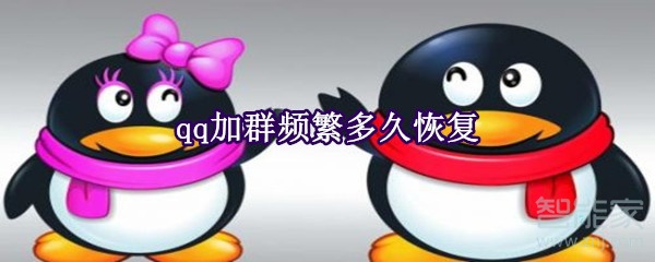qq加群频繁多久恢复