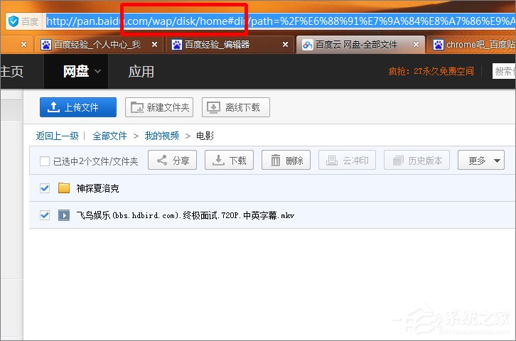 百度云文件怎么使用其它下载工具下载？