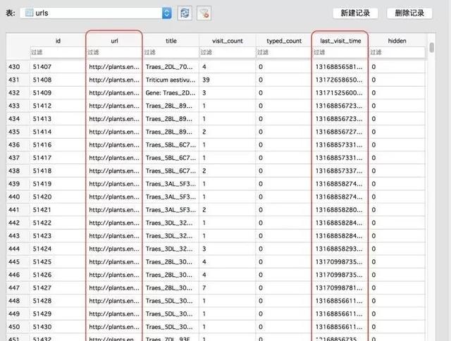 Python实时监控网站浏览记录实现过程详解