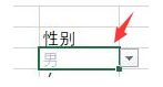 excel自定义表格颜色规则教程分享