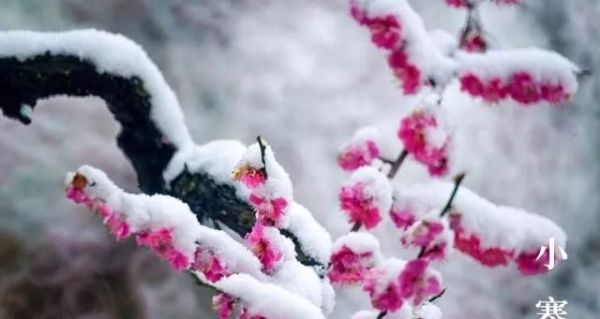 又是一年小寒日，小寒诗词你可知？朋友圈文案有着落了