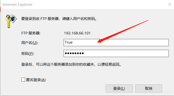 Python中FTP服务与SSH登录暴力破解的实现