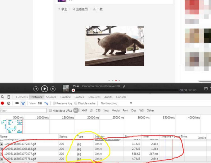 网易云音乐gif动图怎么下载保存?下载保存gif动图步骤分享