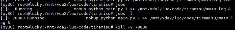 python nohup 实现远程运行不宕机操作