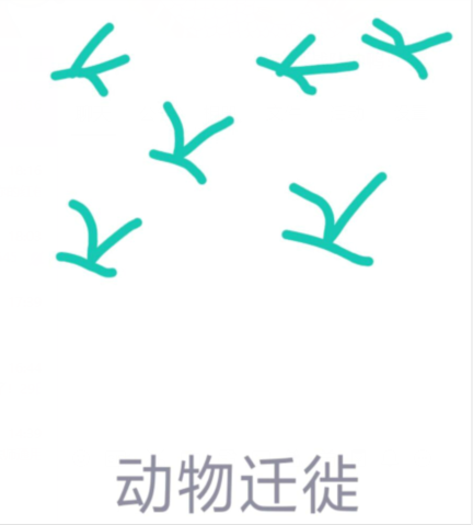 qq画图红包动物迁徙怎么画?QQ画图红包动物迁徙画法分享