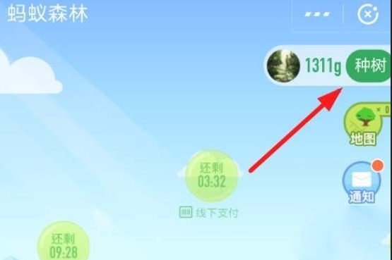 在支付宝里怎么认领蚂蚁森林保护地?认领蚂蚁森林保护地的方法介绍
