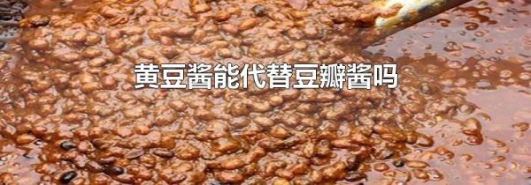 黄豆酱能代替豆瓣酱吗