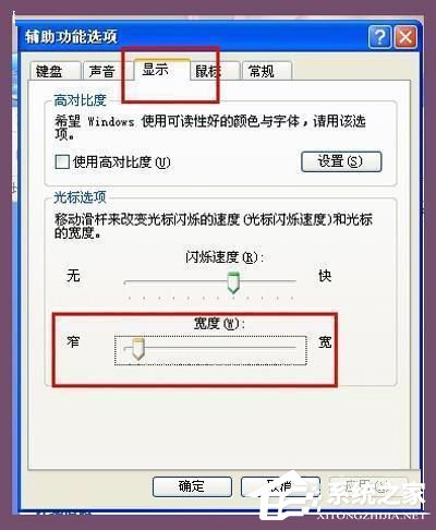如何解决WinXP电脑光标变粗的问题?