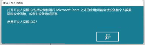 Win11怎么开启开发者选项?Win11打开开发人员选项教程