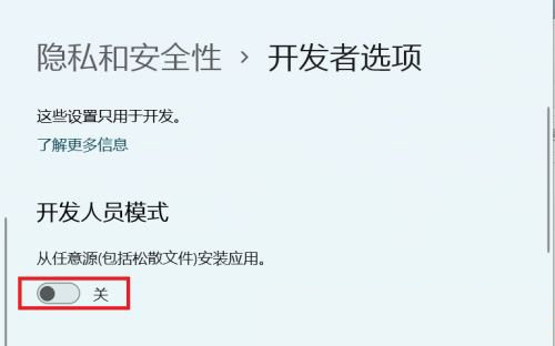 Win11怎么开启开发者选项?Win11打开开发人员选项教程