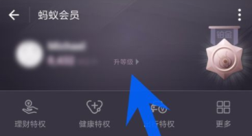 支付宝如何查看蚂蚁会员积分?蚂蚁会员积分查看步骤介绍