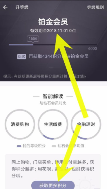 支付宝如何查看蚂蚁会员积分?蚂蚁会员积分查看步骤介绍