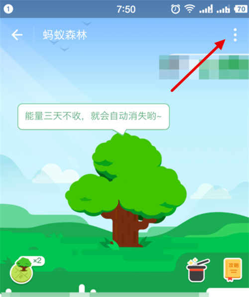 支付宝蚂蚁森林能量值怎样隐藏？隐藏森林能量值方法分享
