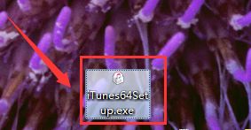 windows7系统中安装itunes详细操作步骤
