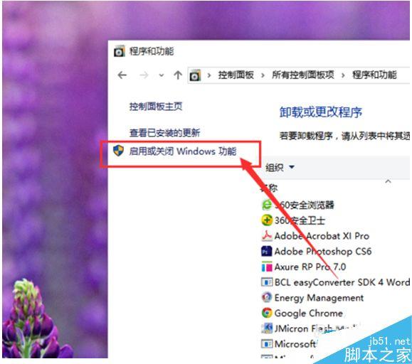 Win10系统怎么卸载IE浏览器？Win10系统卸载IE浏览器教程