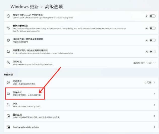 Windows11打开传递优化功能教程分享
