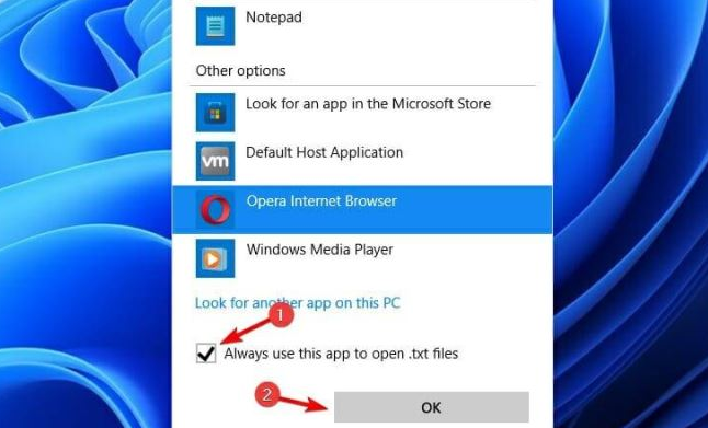 windows11更改应用程序属性方法介绍