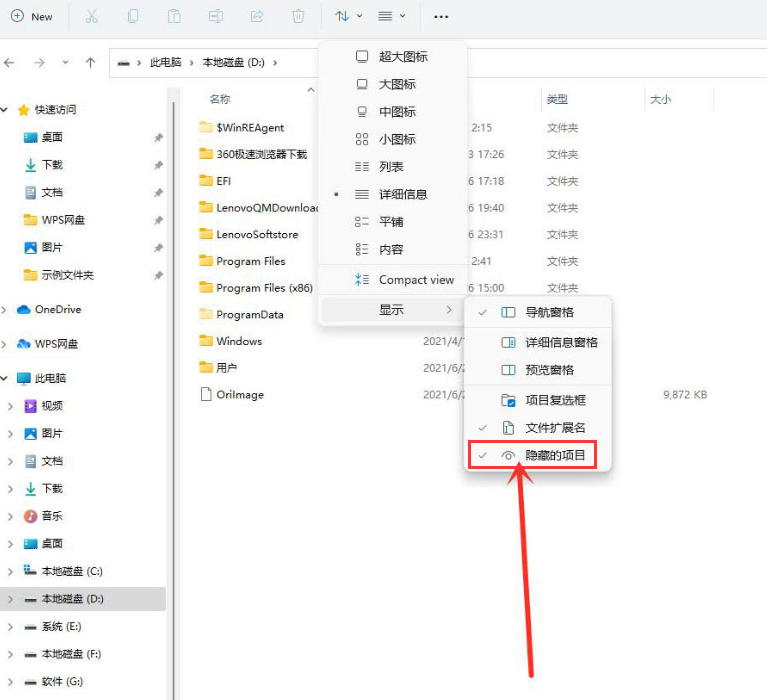 windows11查看隐藏项目技巧分享