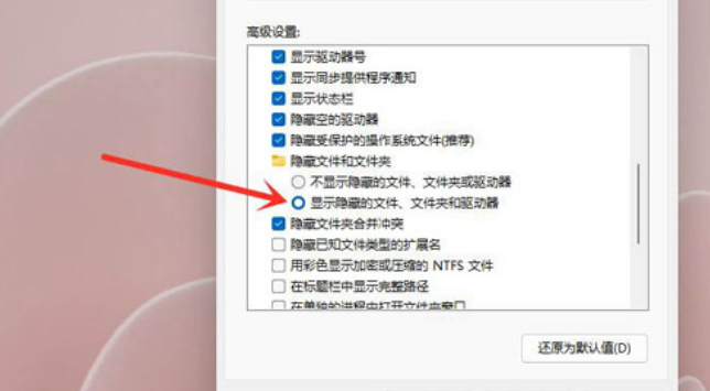 Windows11隐秘项目查看教程分享