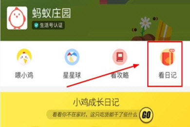 支付宝中更改蚂蚁庄园小鸡信息的具体操作方法