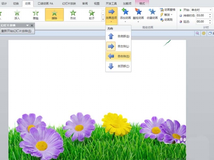 使用ppt制作出柳条生长动画效果具体操作流程