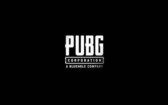win10玩不了pubg解决方法