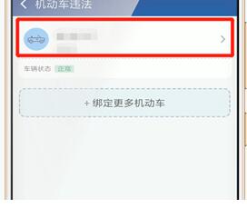 使用交管12123查询违章图文操作