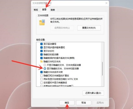win11隐藏文件打开教程