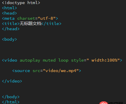 javascript - 在html中写了个<video>视频，浏览器却是一片空白为什么呢？360浏览器？