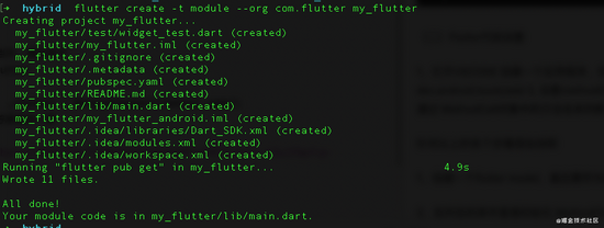 Flutter 和 Android 互相传递数据的实现