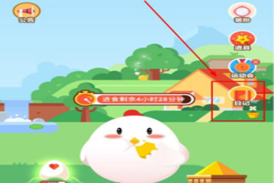 支付宝蚂蚁庄园小鸡信息如何修改？支付宝蚂蚁庄园小鸡信息修改攻略介绍！