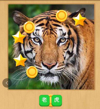 微信小程序中猜猜图小游戏正确答案是什么？微信小程序中猜猜图小游戏正确答案一览！