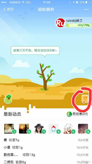 蚂蚁森林钉钉是什么 蚂蚁森林钉钉能量如何收集