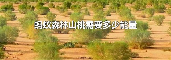 蚂蚁森林山桃需要多少能量