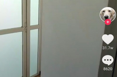 抖音不小心点了不感兴趣如何取消   抖音按了不感兴趣恢复方法