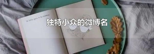 独特小众的微博名
