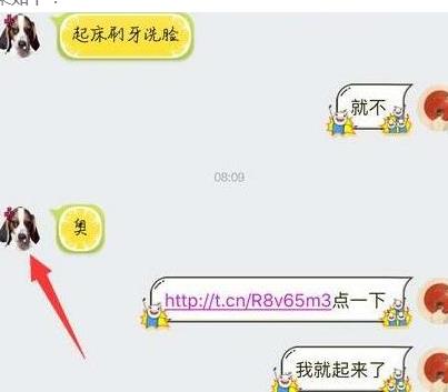 QQ头像变成狗怎么办 QQ点开链接变成狗头像解决办法