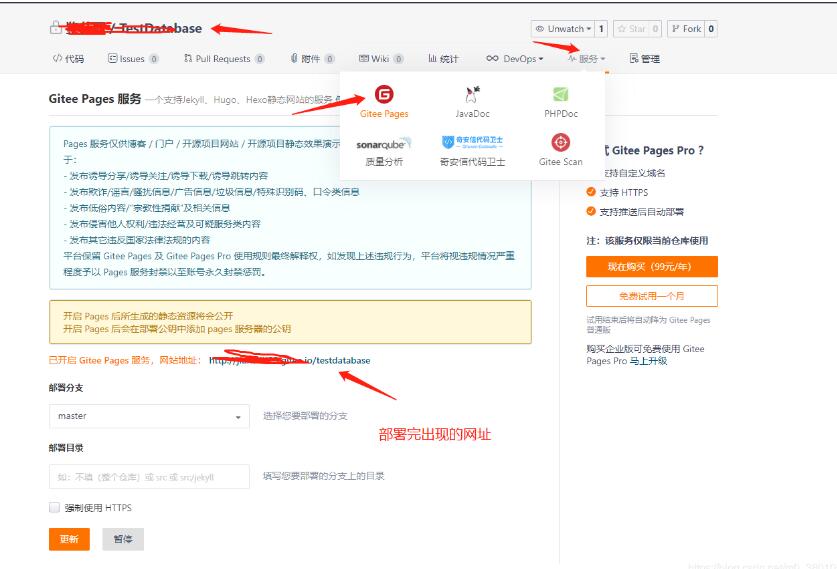 vue项目,代码提交至码云,iconfont的用法说明