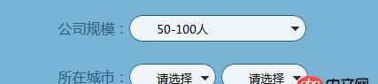 css3 - 如何使用css将select的边框以及右边的小三角形去掉？