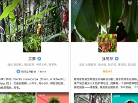 QQ浏览器扫一扫的作用是什么？ QQ浏览器扫一扫功能详情介绍！