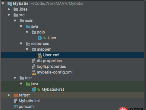 JAVA mybatis pojo.xml 配置问题