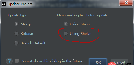 java - idea git update project 里面的参数是什么意思