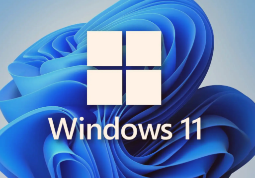 Win11怎么处理更新出错